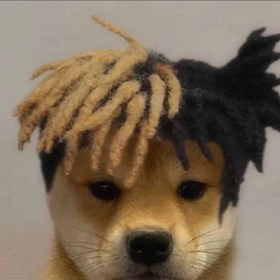 西格玛的男人