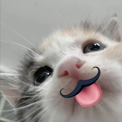 初三