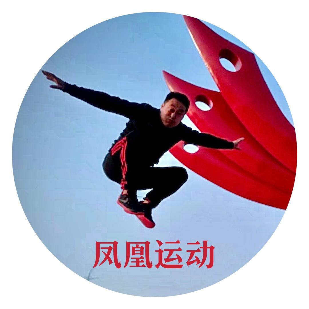 鳳凰运动