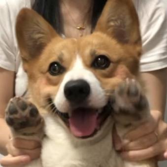 王金条在这儿（2000🎁）