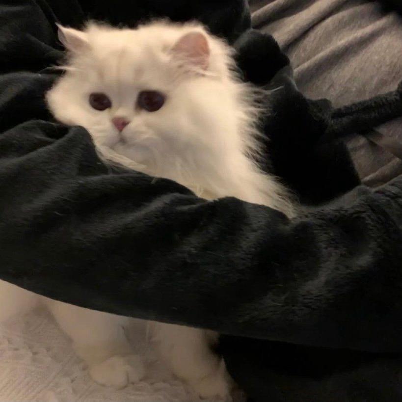 陈潇