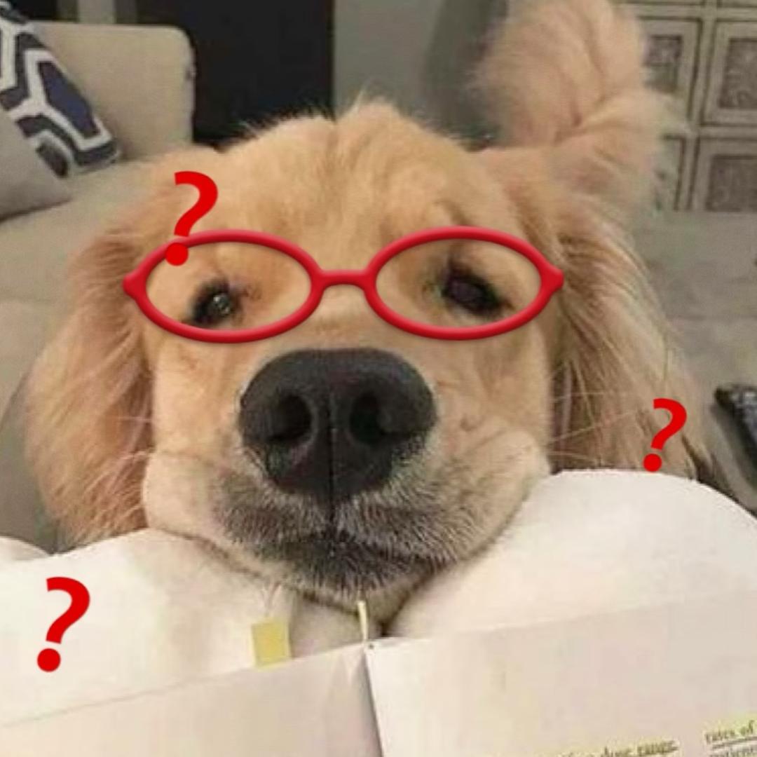 小狗不牛皮