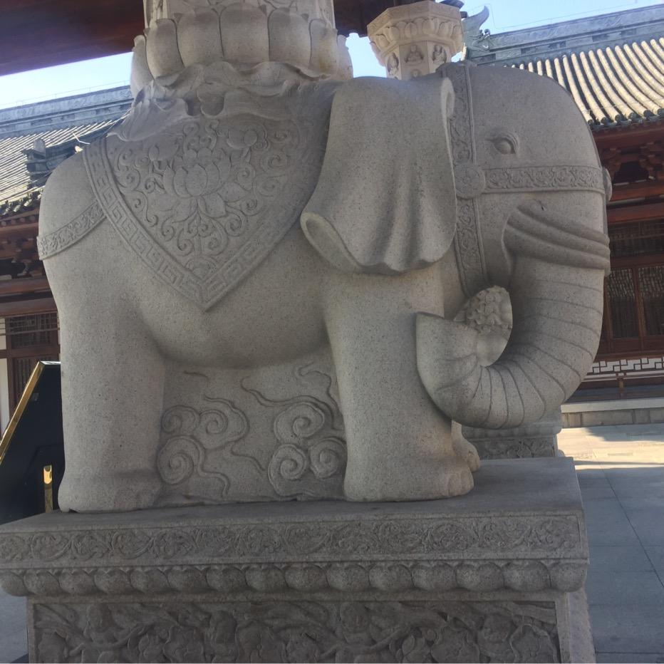 晨晨数码手机电脑维修