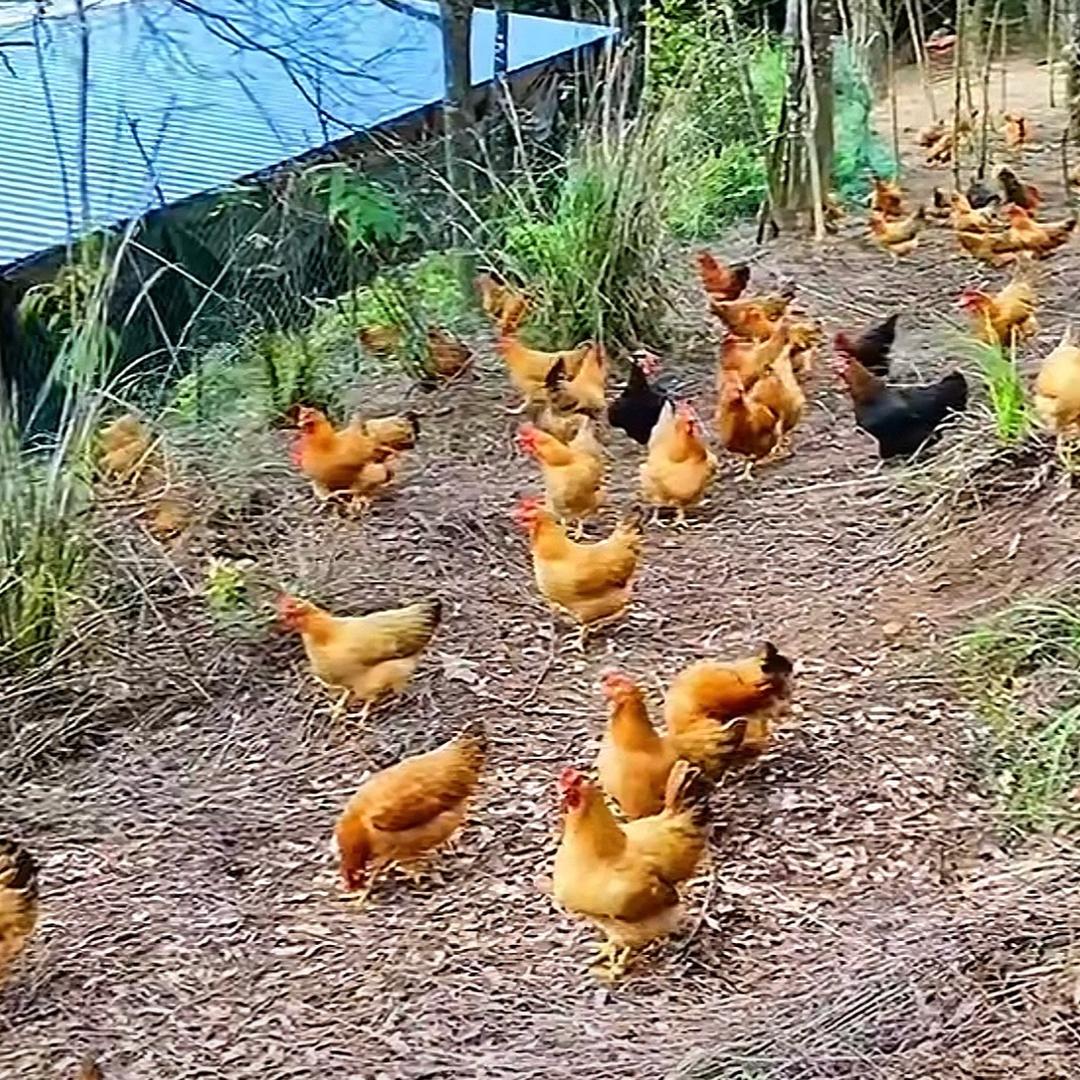 漂浮商贸（乐乐）