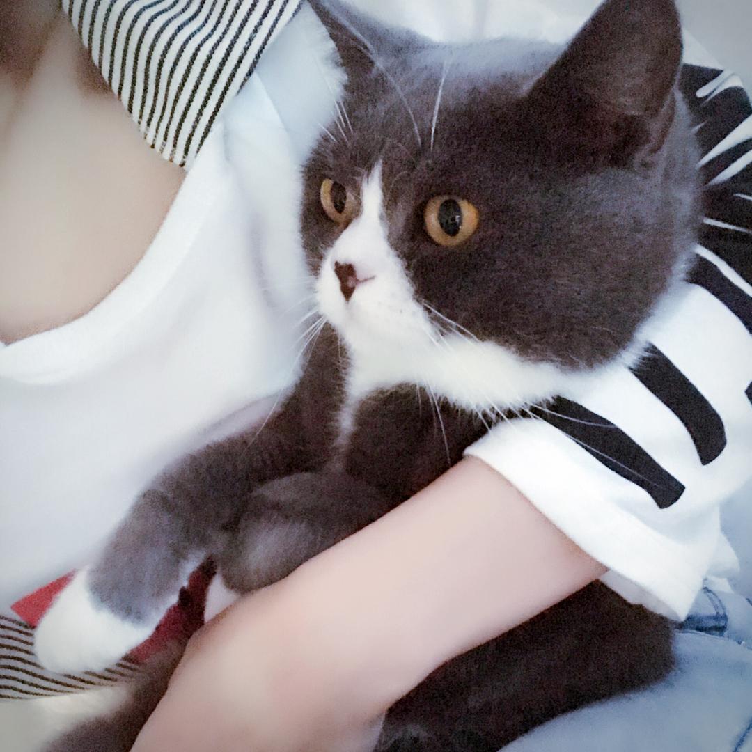 柒柒