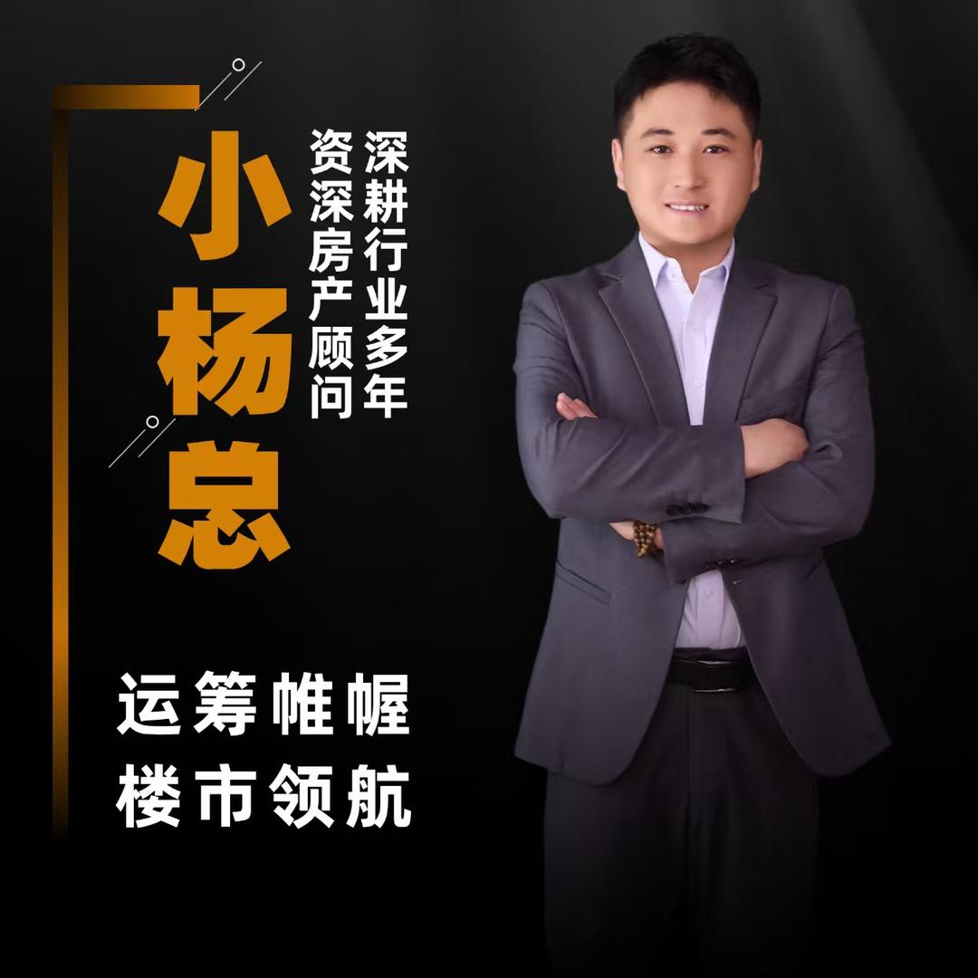 房管家小杨总