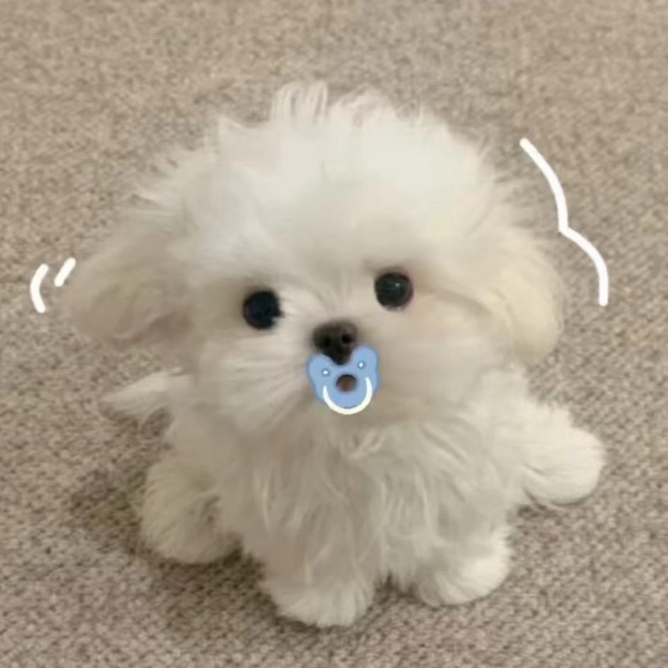 轲轲