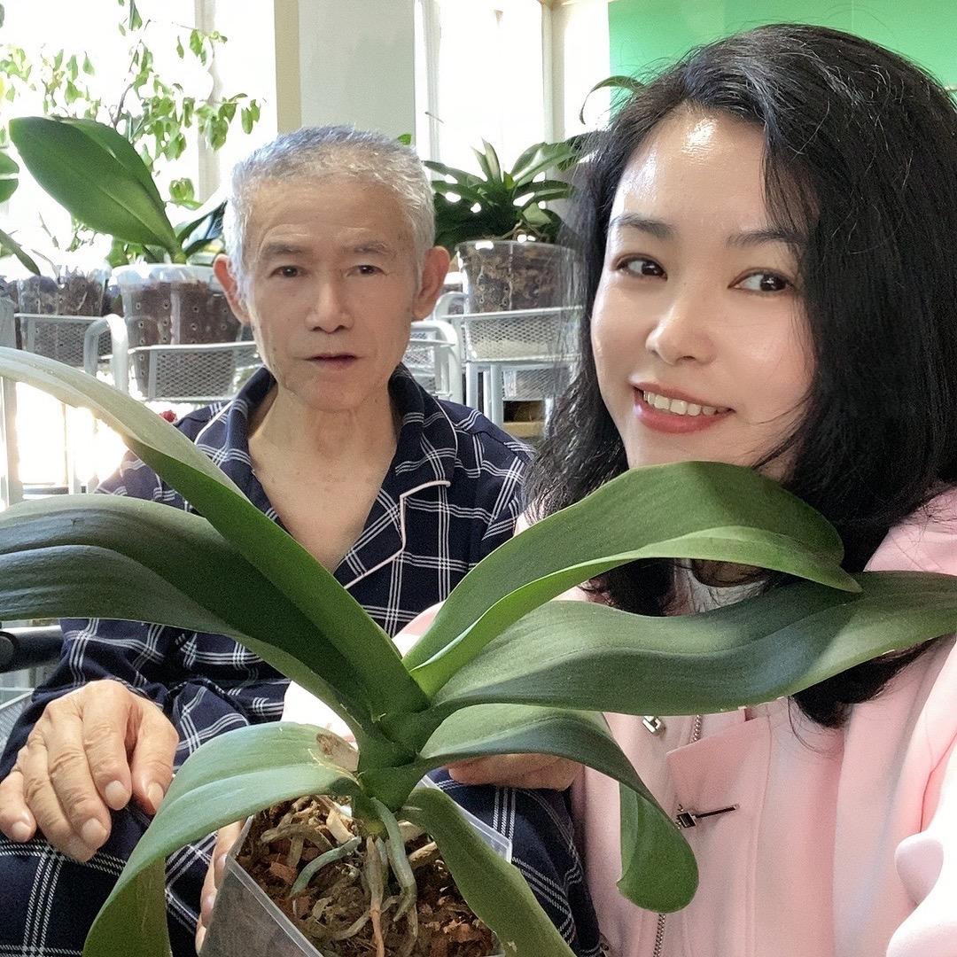 卖花养老爸