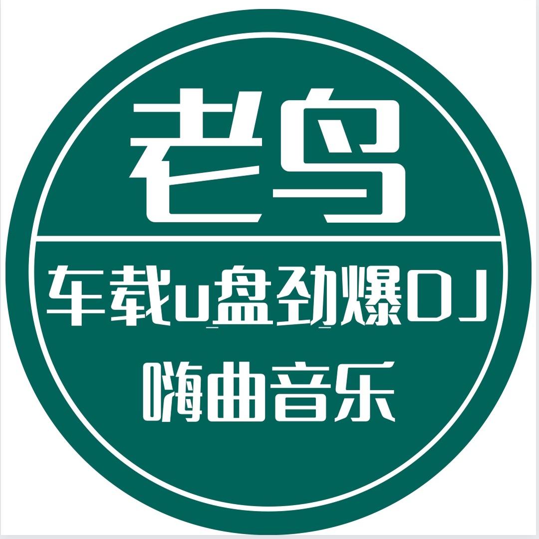 老鸟车载音乐u盘劲爆dj嗨曲歌曲优盘