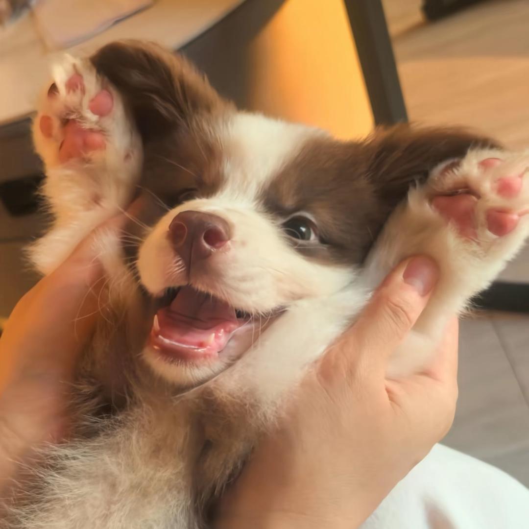 李商隐的等