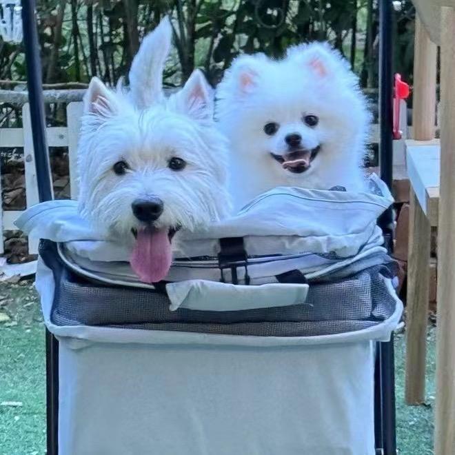 啵啵🧚🏻‍♀️