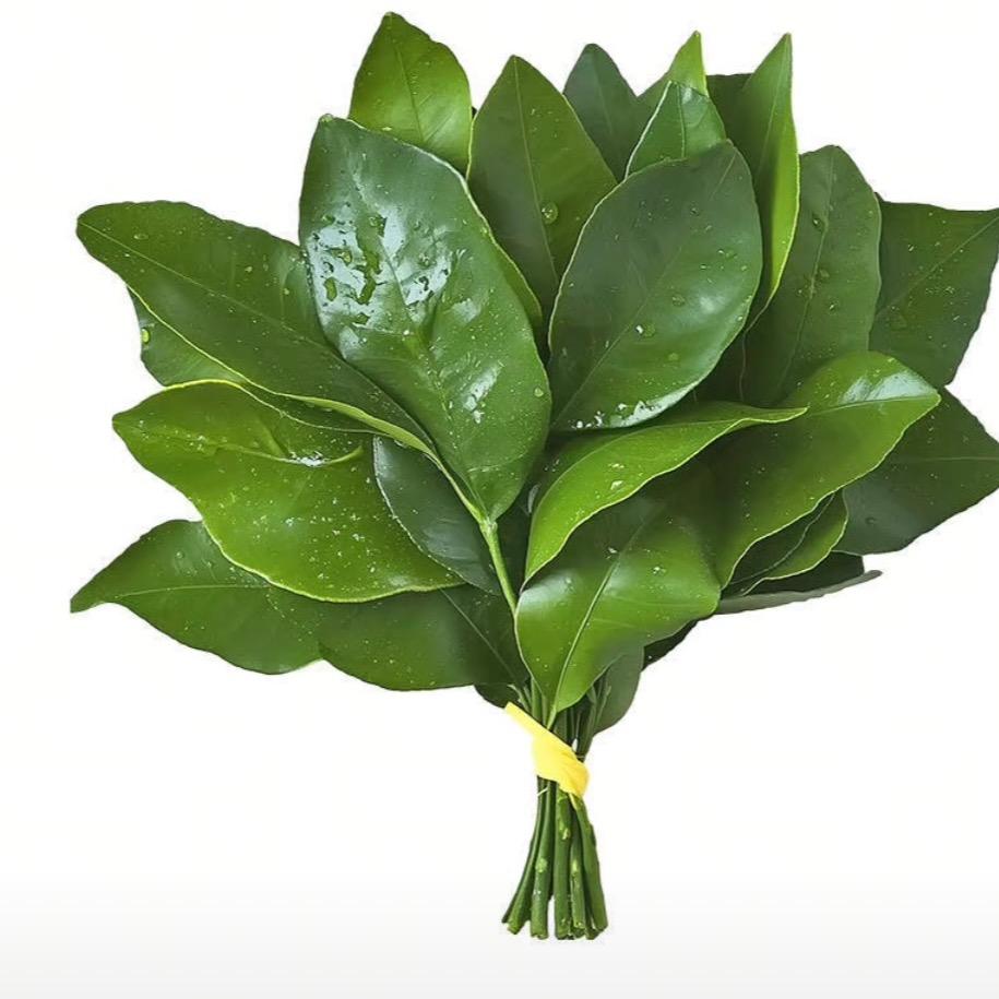 ᥫᩣ美业人：余💋