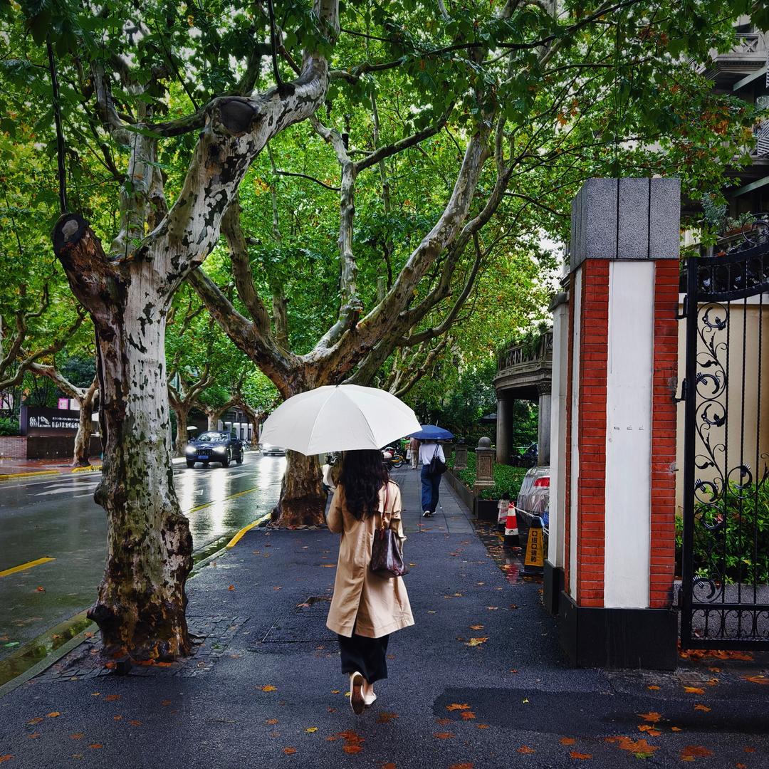 🌼周周小姨🌼