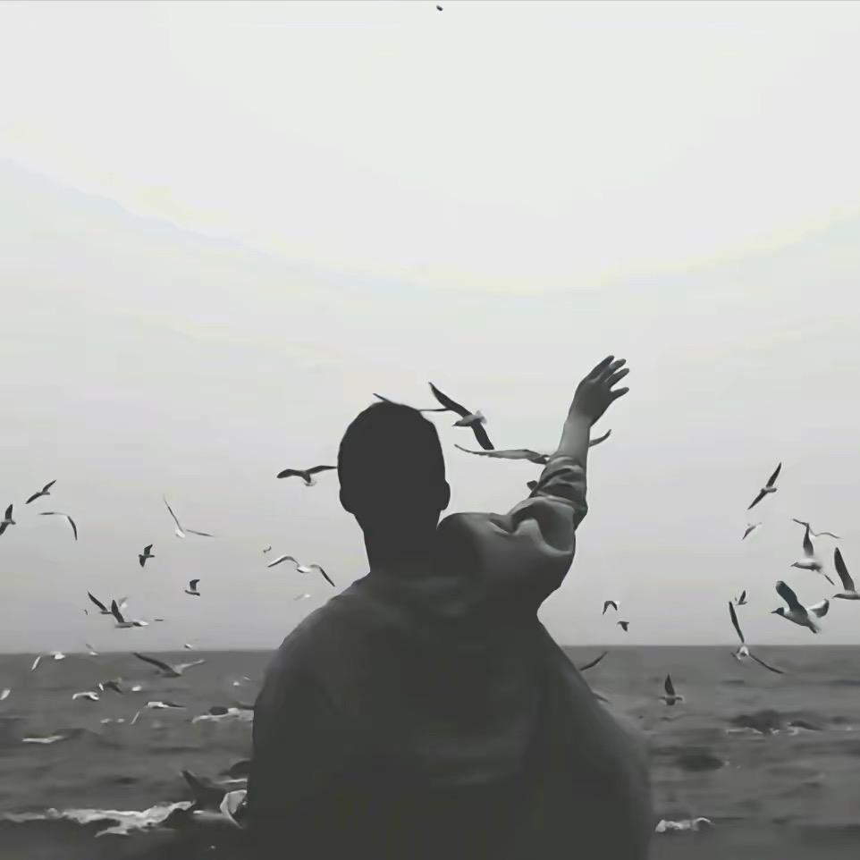 Z.