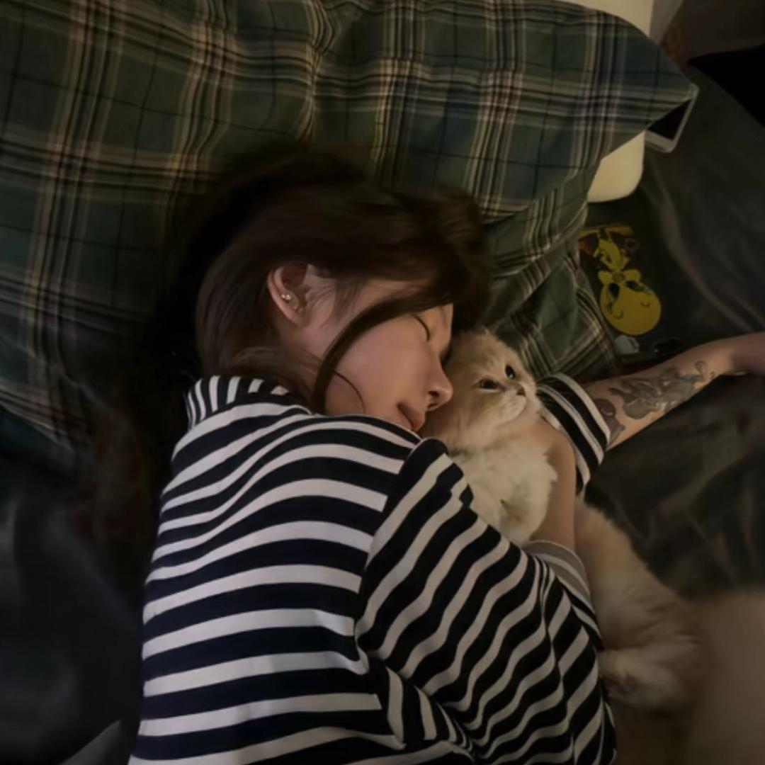 灵猫²²