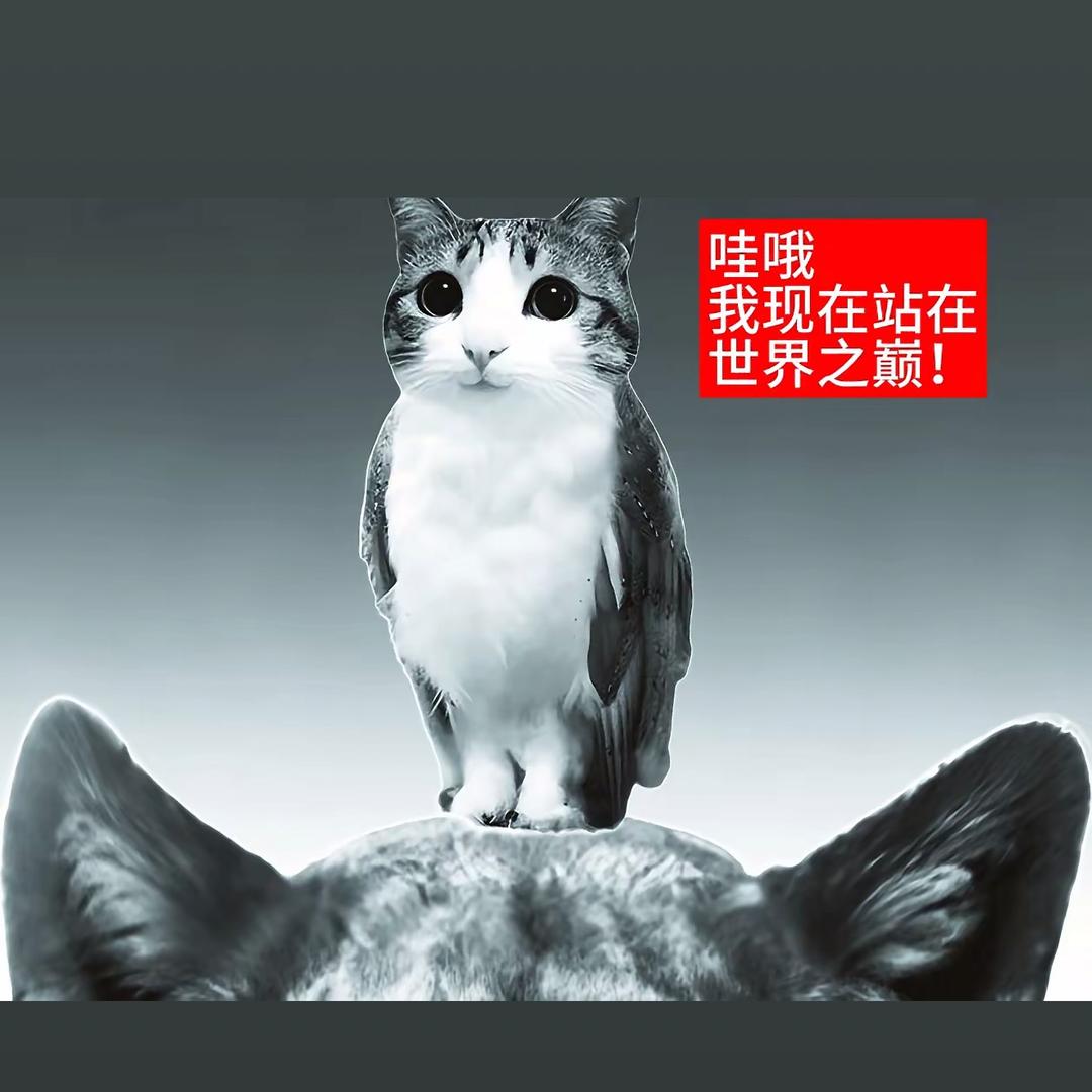 老子是白菜怎么了