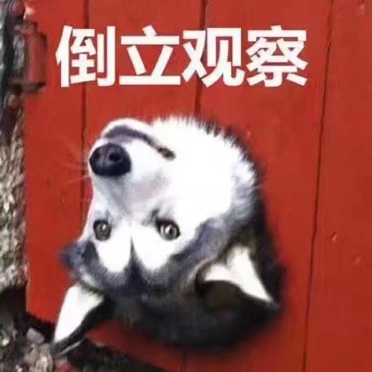 小白黢黑