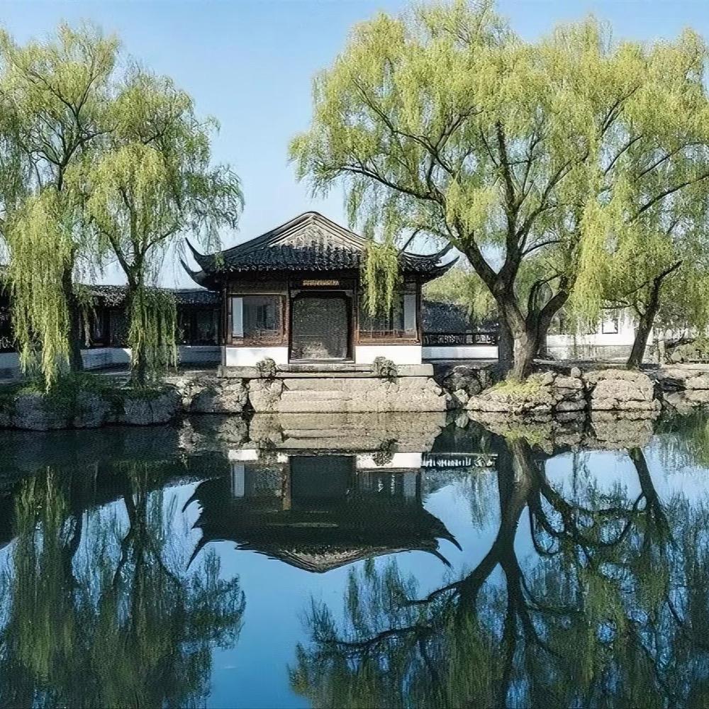 小师叔