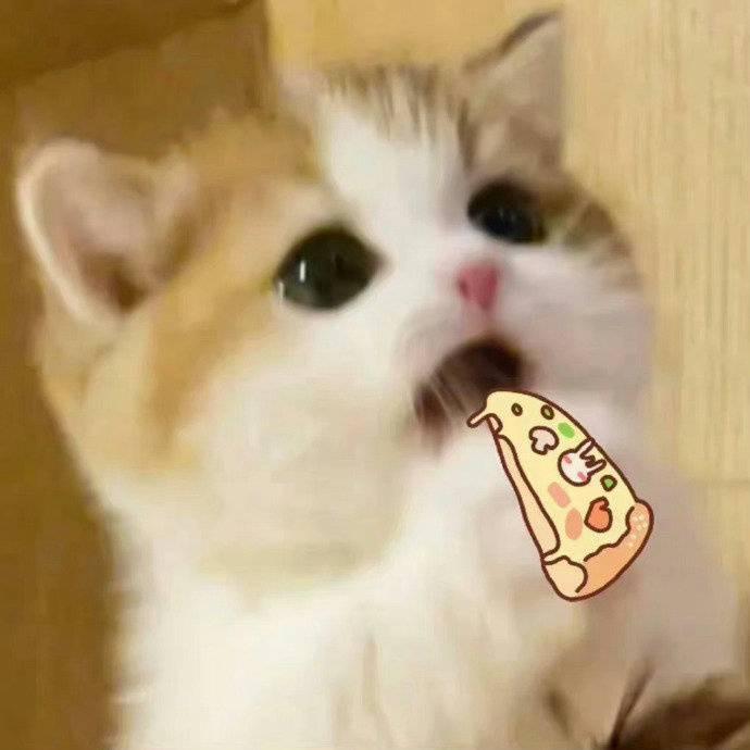 小桐🐑