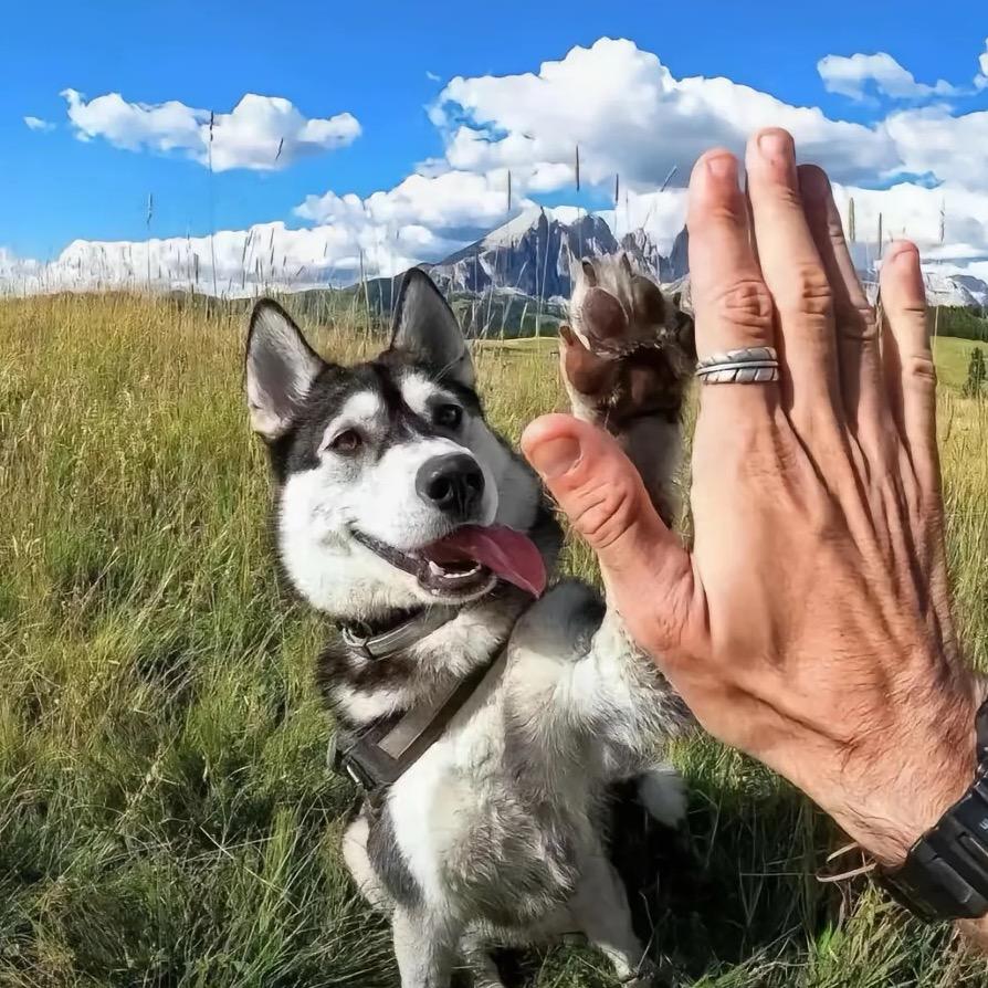 少喝早睡要早起