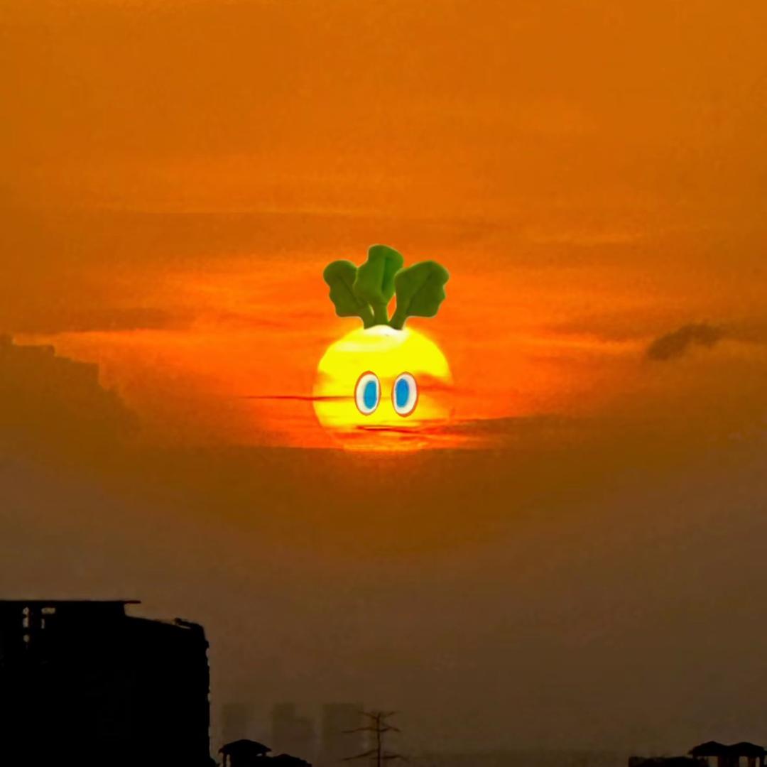 一直安静🤫