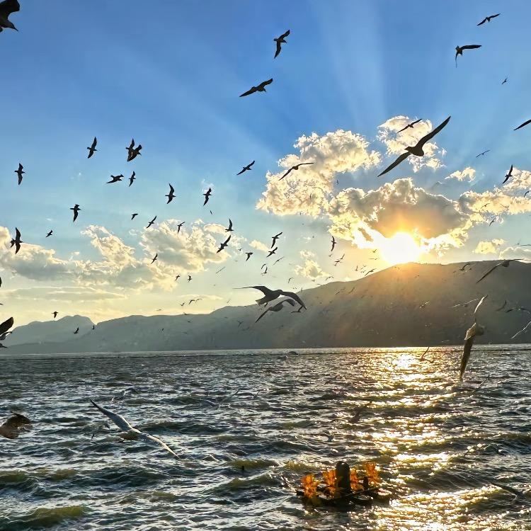 朱经理（私人-电签）