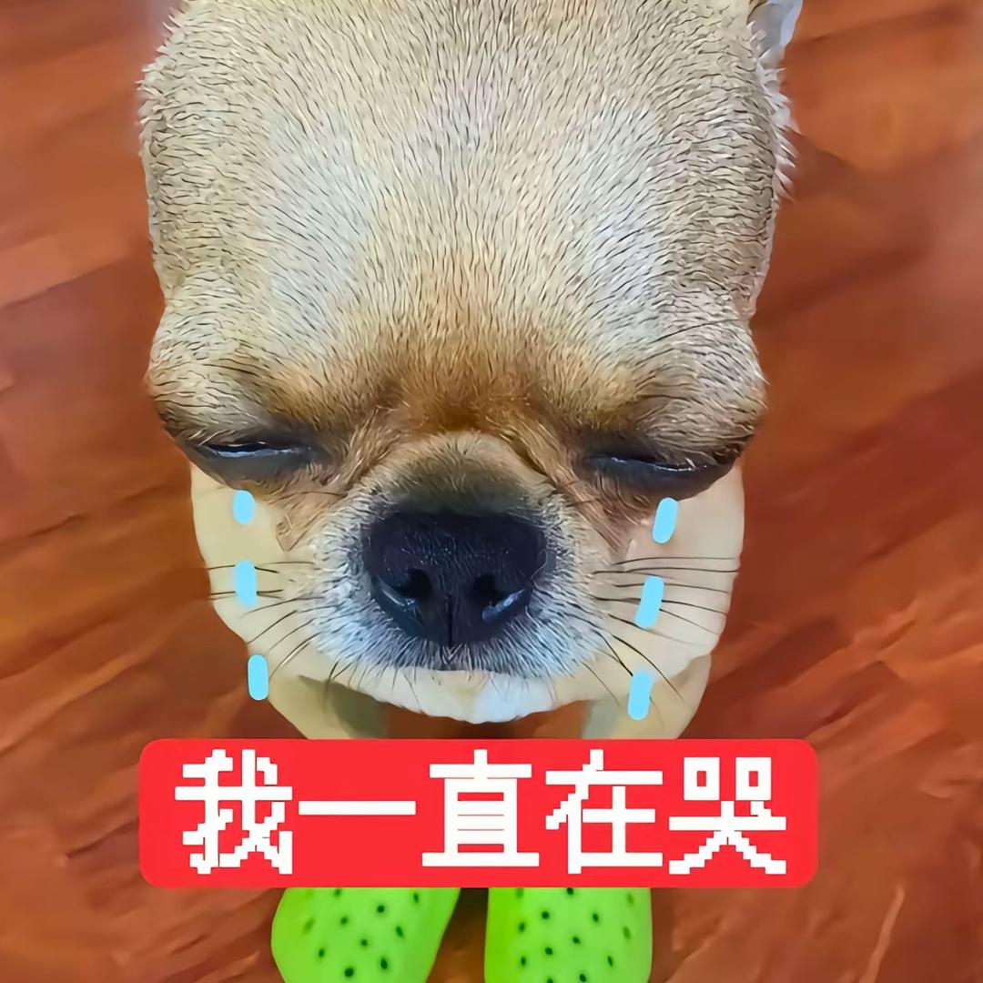 我一直在哭