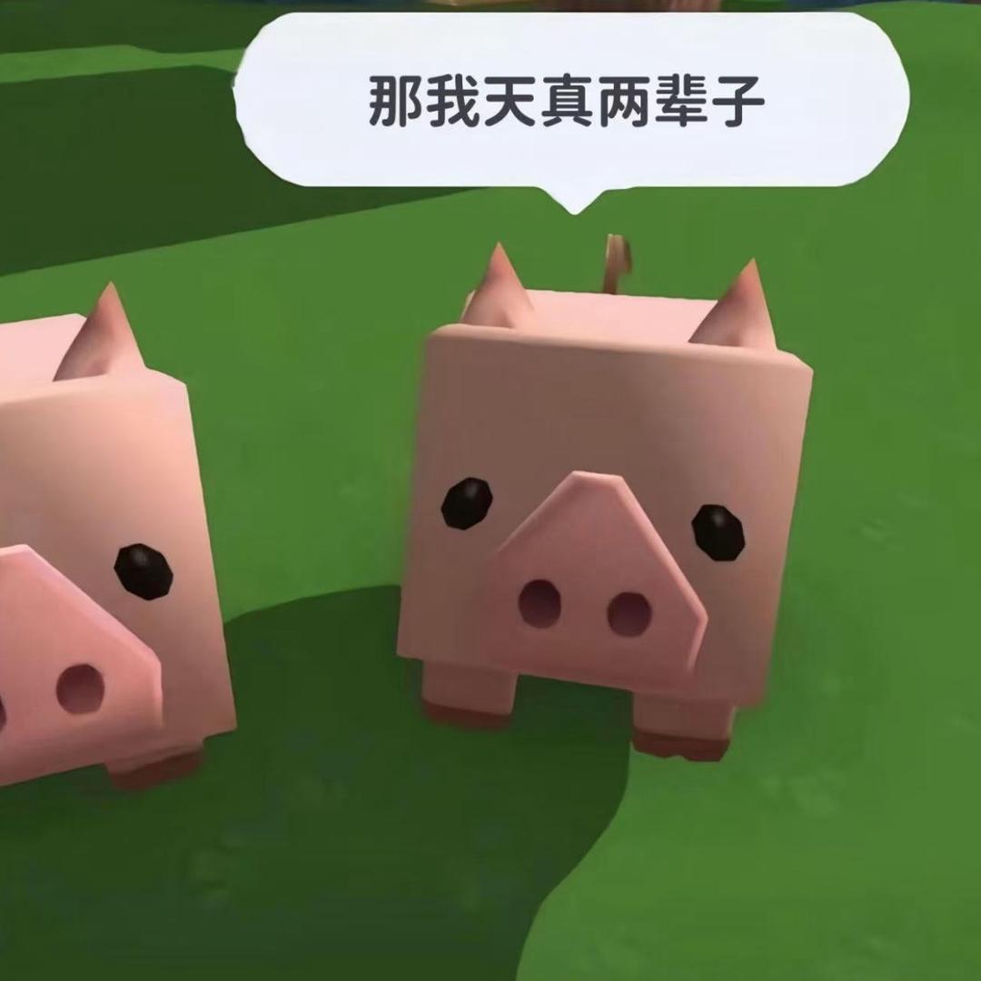 泽 轩.