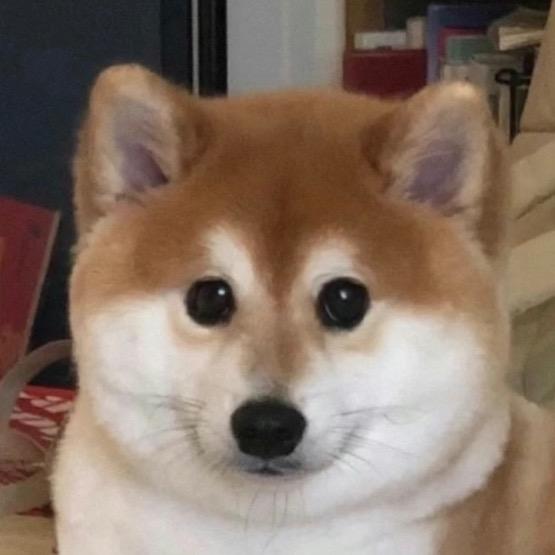 瀏振₁₃₃₃⁵₉₉₉₉