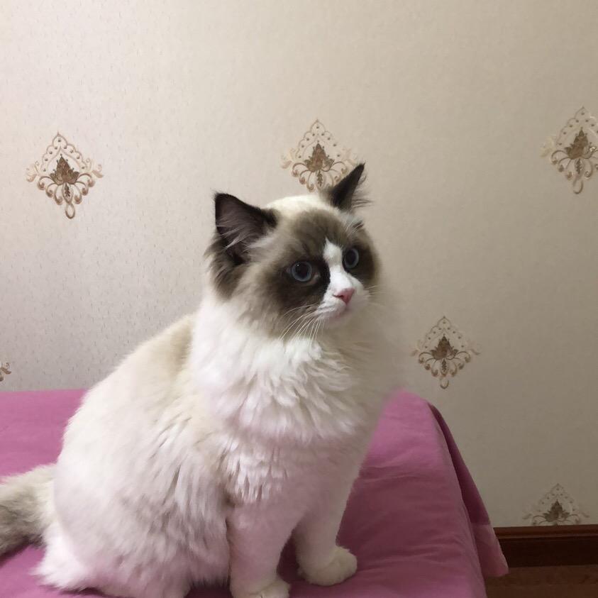 江苏人