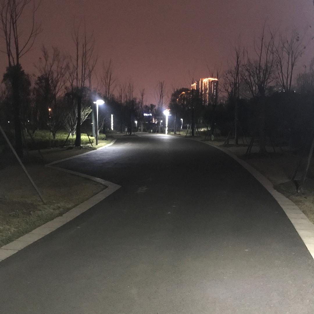 湖中一青螺