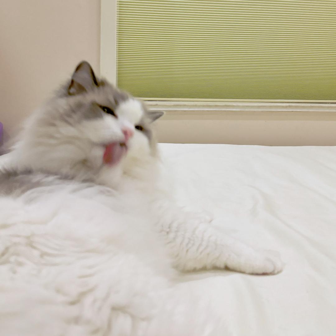 土土立正.🕳️.