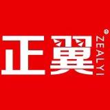 正翼模型