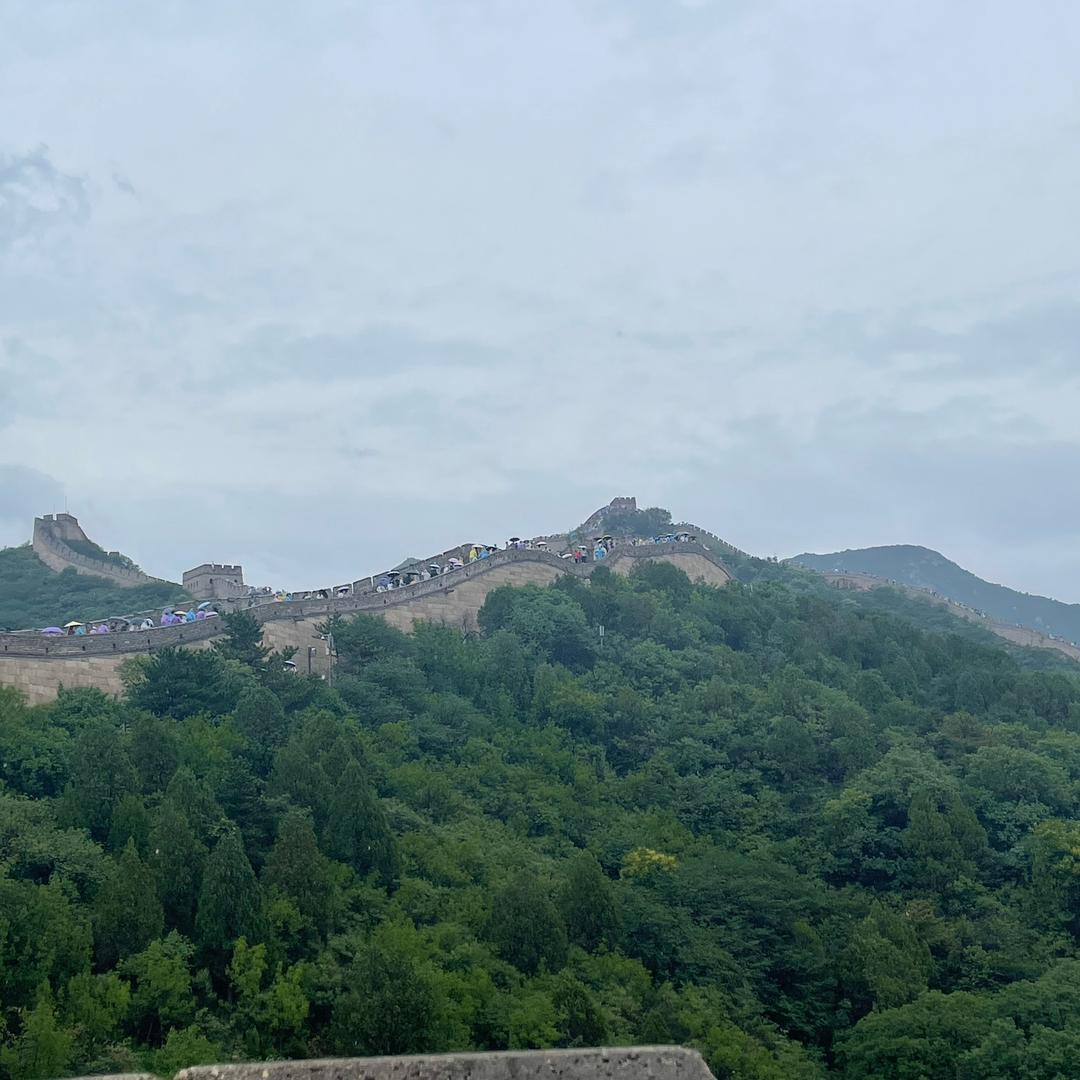 你的名字