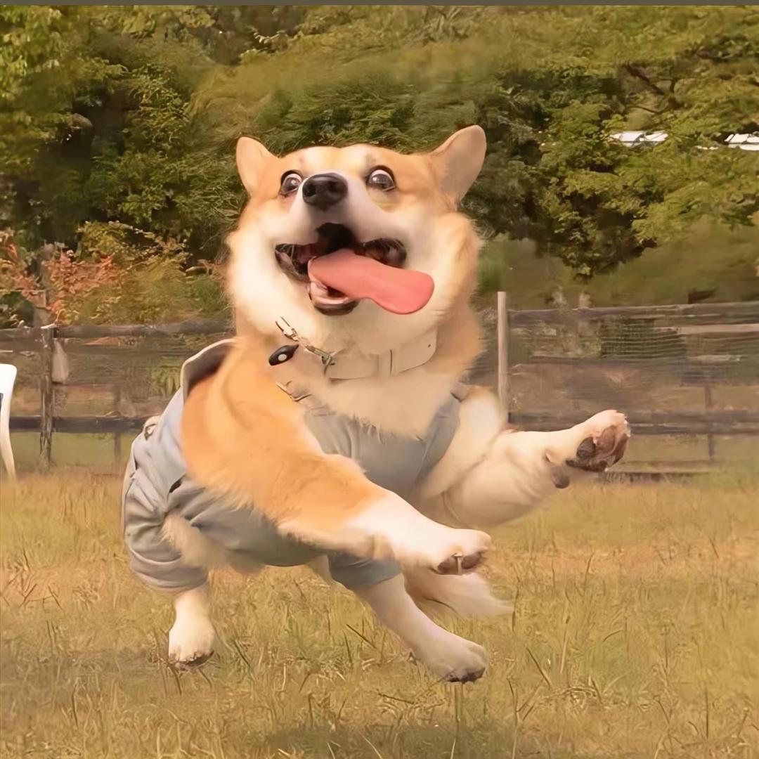 仌