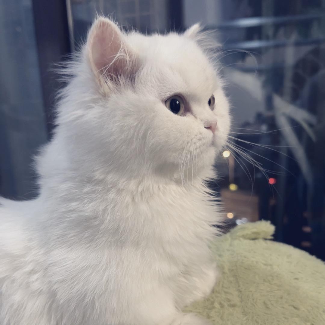 山东小白在常州