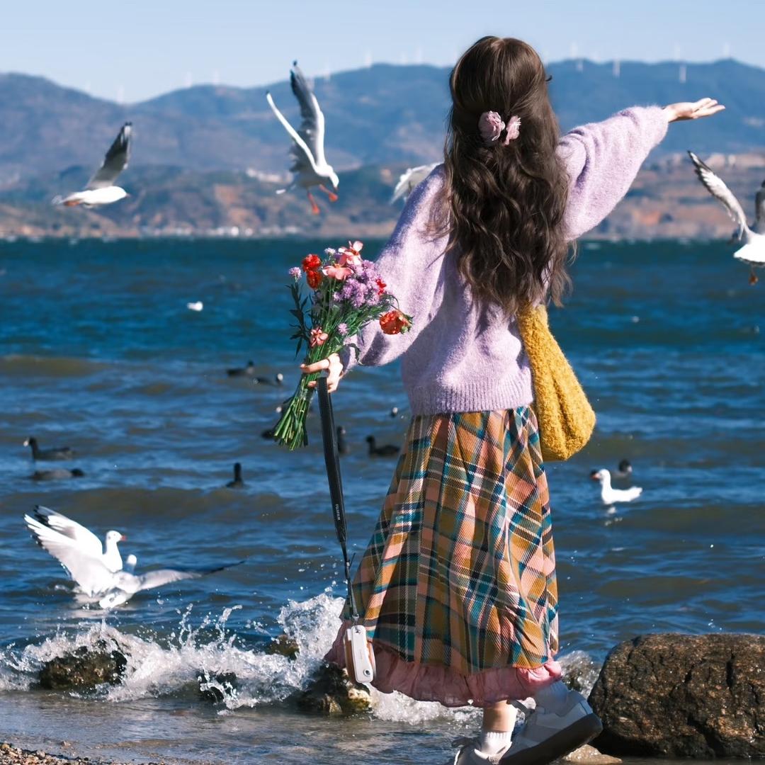 芯.