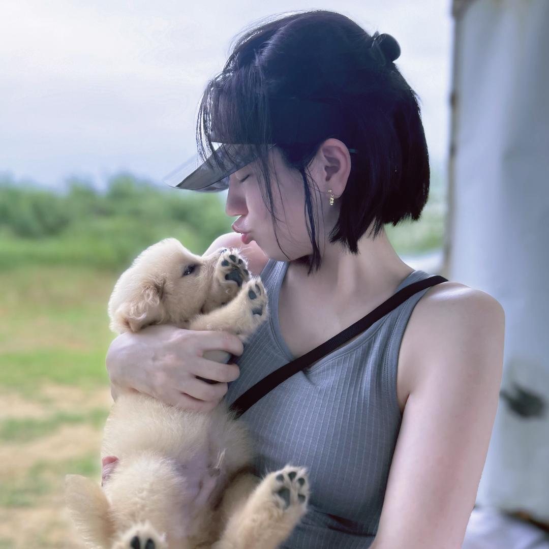 女王小橱