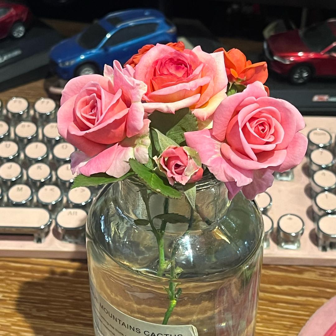 格桑花°F”