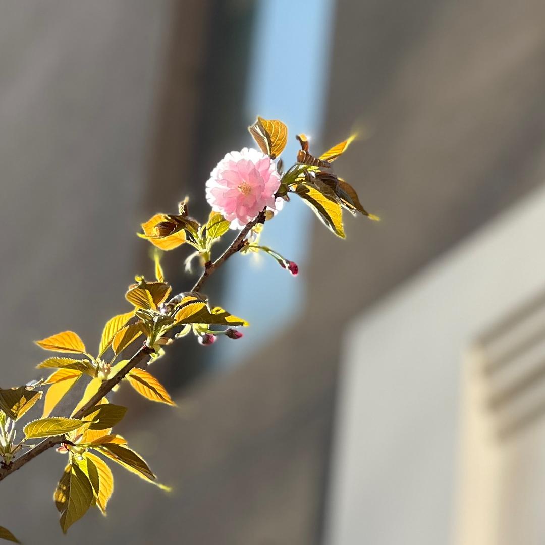 和暮暮一起努力吧