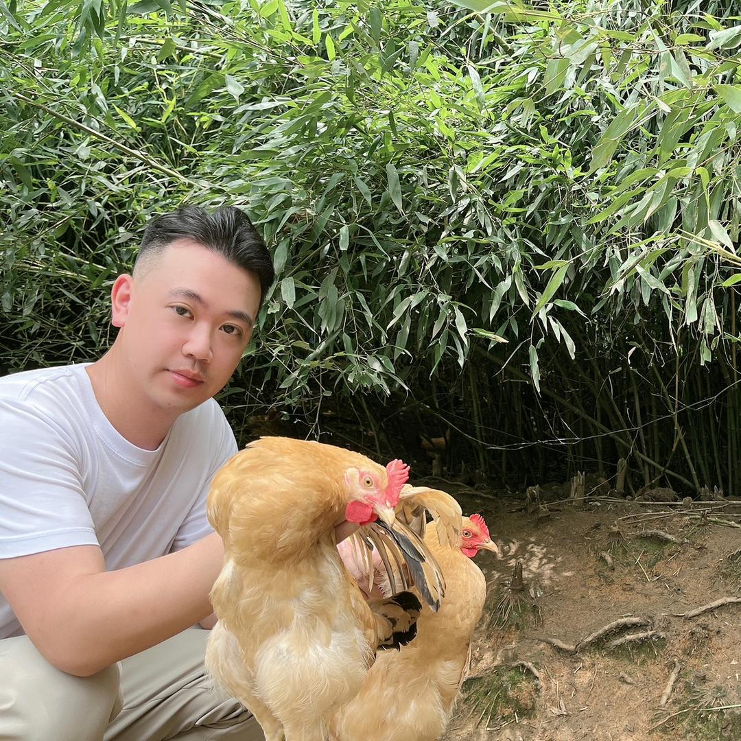 大乐自家散养土鸡