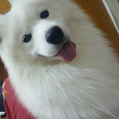 岁月静好