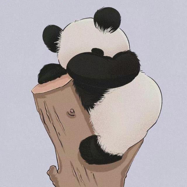 baby༄༅TAO