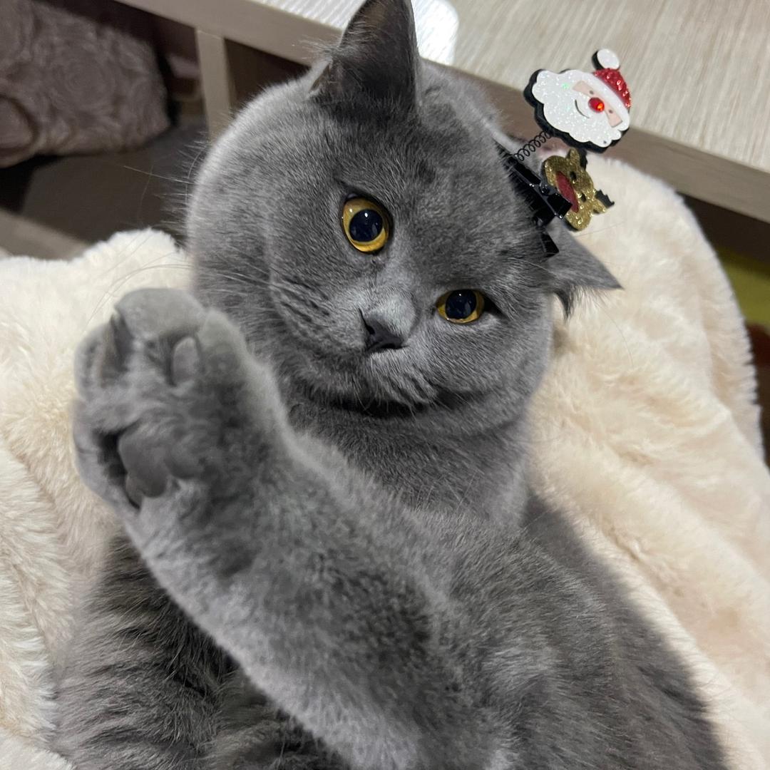 小熊维尼～