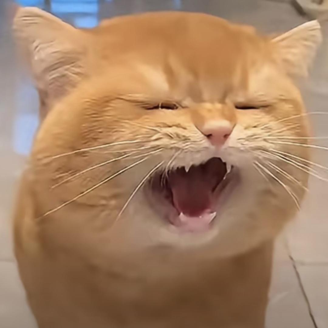 天天不要秃头
