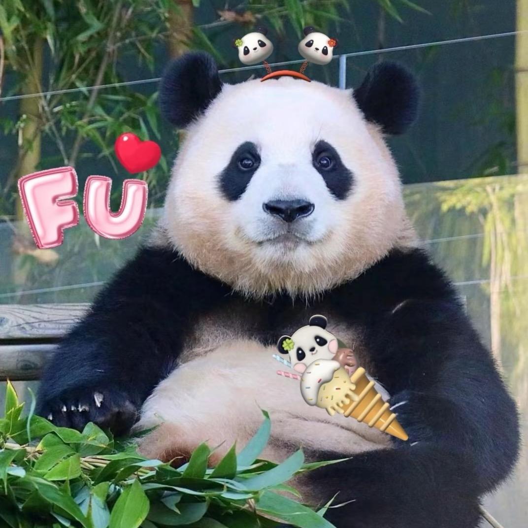 蕾宝吖