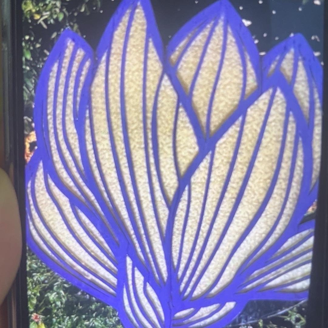 💕一𡞱阳光☀️