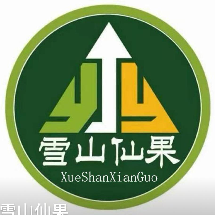 雪山仙果新疆特产