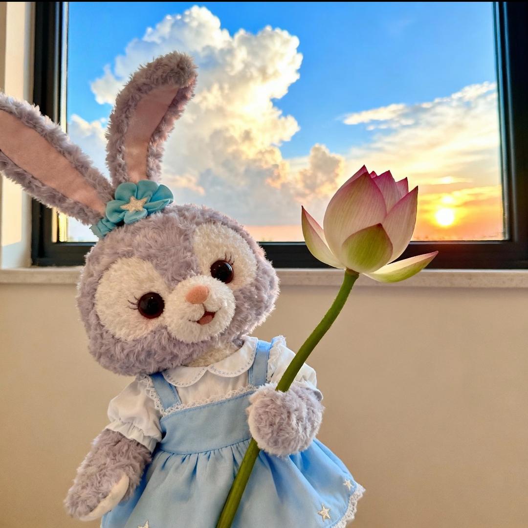 是你的小可爱吗