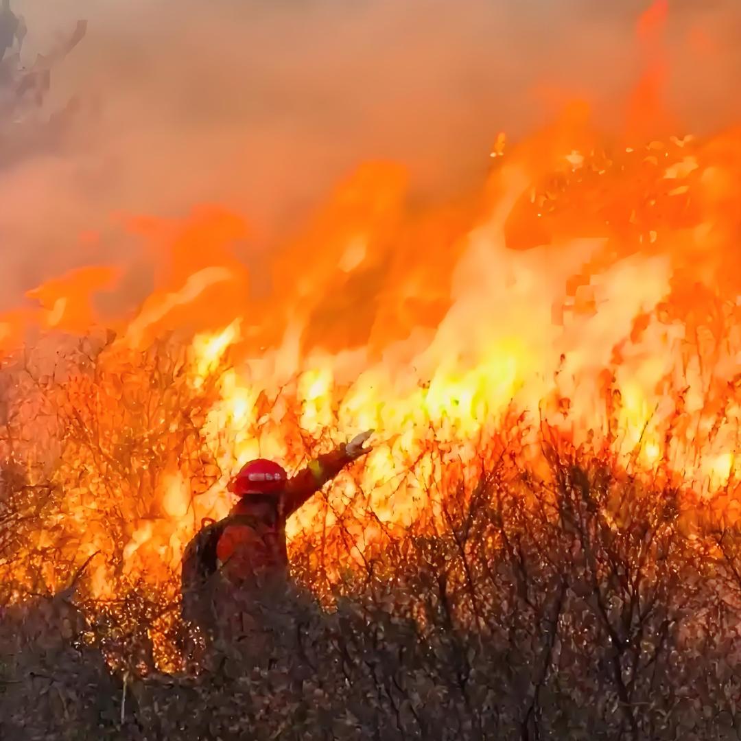 谢家村灾难(3月25日人为重大🔥灾）